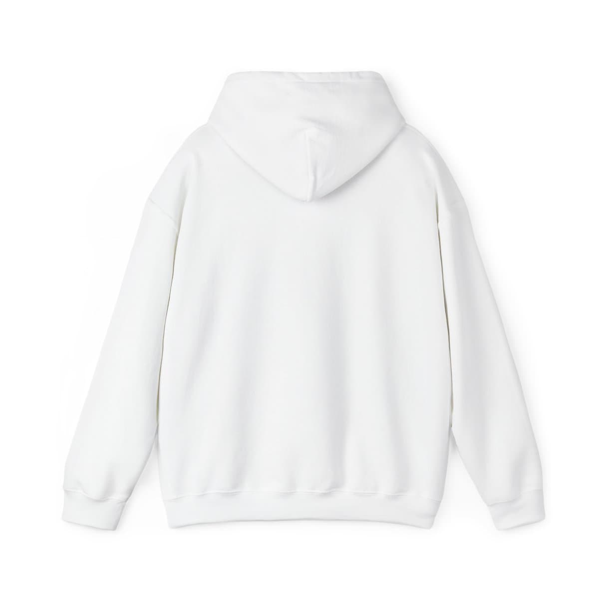 North Current "stormy winds" Hoodie — alternate view